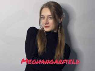 Meghangarfield