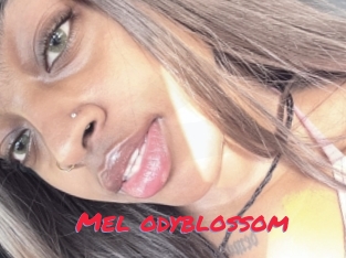 Mel_odyblossom