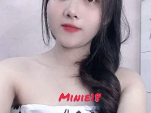 Minie18