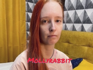 Mollyrabbit