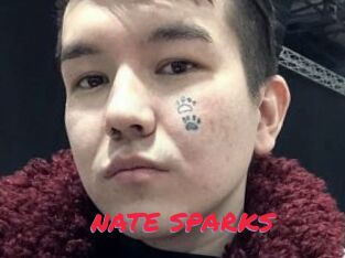 NATE_SPARKS