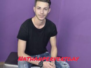 Nathanpervertgay
