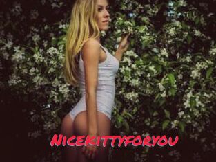 Nicekittyforyou