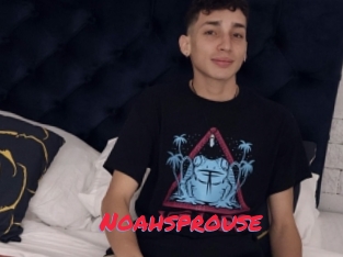 Noahsprouse