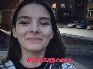 Noreenborer