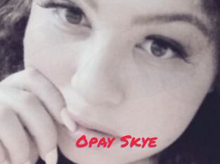 Opay_Skye