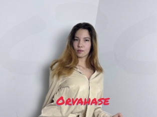 Orvahase