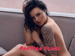 Pantera_Flash