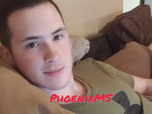 PhoenixMS