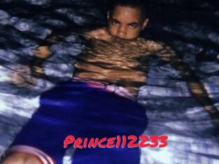 Prince112233