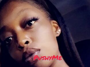 PushyMe