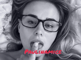 Paulinamice