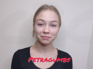 Petragumbs