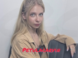 Petulacarvin