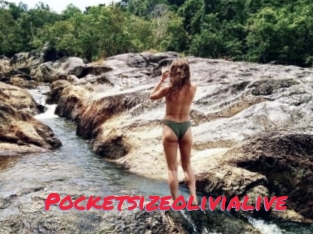 Pocketsizeolivialive