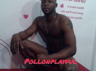 Pollonplayful