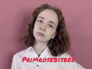 Primrosebisbee