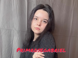 Primrosegabriel