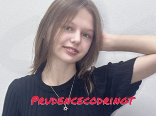 Prudencecodringt