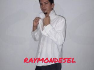 RAYMONDESEL