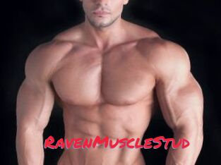 RavenMuscleStud