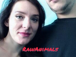 RawAnimals