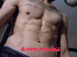 Rippedasian66