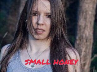 SMALL_HONEY