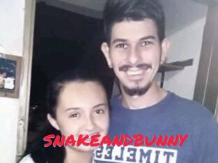 SNAKEANDBUNNY