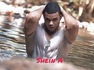 Shein_A