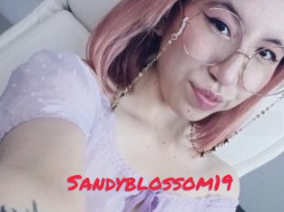 Sandyblossom19