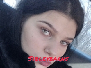 Sibleybarns