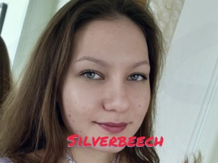 Silverbeech