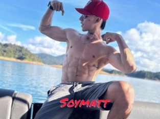 Soymatt