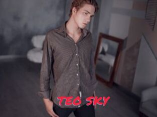 TEO_SKY