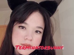 Terminatorbunny