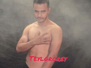 Teylorgrey