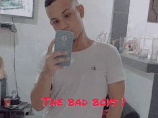 The_bad_boys_1