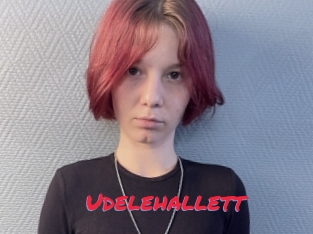 Udelehallett