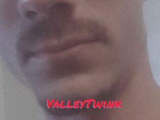 ValleyTwink