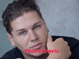 VelosaDavid