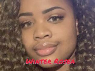 Winter_Rosea