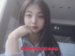 Wangzcxiang