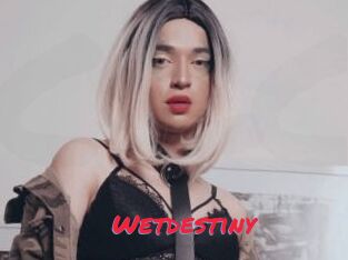 Wetdestiny