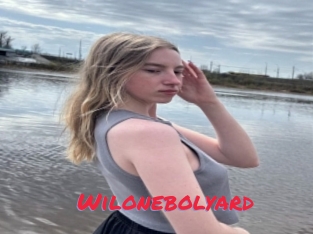 Wilonebolyard