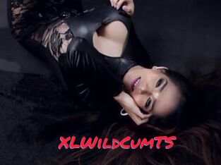 XLWildCumTS