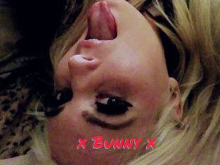 _x_Bunny_x_