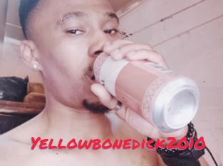 Yellowbonedick2010