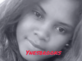 Ynesbrooks