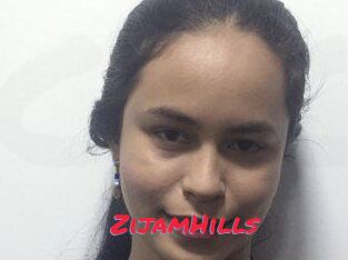 ZijamHills